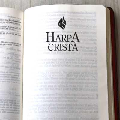 image_75415a22-471a-4a7c-8166-d2e8a6143ae0