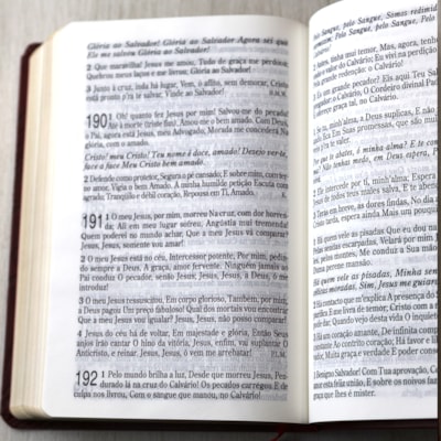 image_d4406cff-cb7f-4b97-ba0c-388acfa7620d