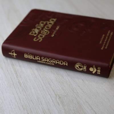 image_656db06a-a463-4bf3-833e-1fdfbbc5d043