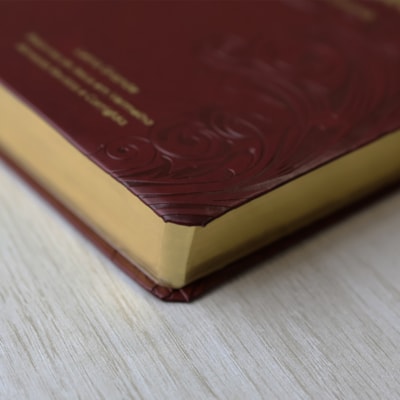 image_917ba396-d54e-4f8a-8b47-5e52a7f538bc