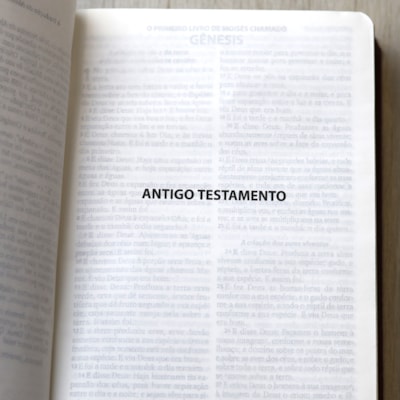 image_7bfe0661-1990-43f0-a771-5c937d36ca93