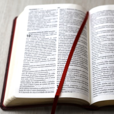 image_284d4014-342f-4fa7-bffd-a3e10810944a