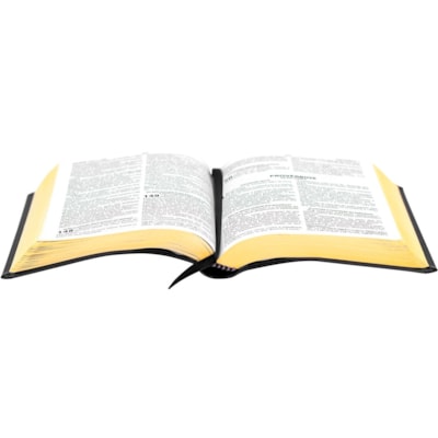 image_ad81ace8-1d89-41ff-abab-75269d276954