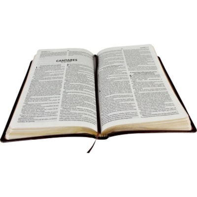 image_7faab9d7-0649-4659-bb6d-631cd742688b