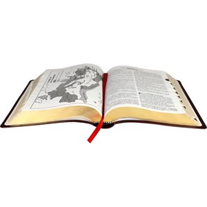 Bíblia Sagrada Com Harpa Cristã | Letra Grande | ARC | Capa Marrom Nobre c/ índice