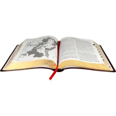 image_09b79760-ff4f-4bf4-9d83-1637155191b8