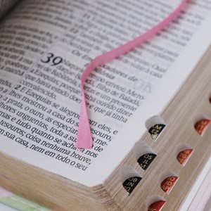 Bíblia Sagrada Com Harpa e Corinhos | ARC | Letra Hipergigante | Capa Luxo Bicolor Rosa