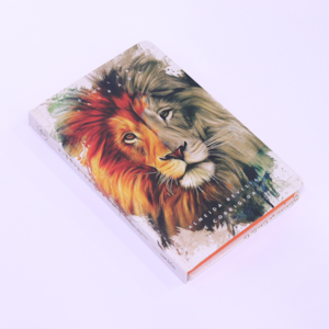 Segunda imagem do produto Bíblia Sagrada com Harpa Havivada | ARC | Letra Normal | Capa Dura Leão Duo