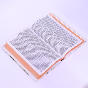 Bíblia Sagrada com Harpa Havivada | ARC | Letra Normal | Capa Dura Leão Duo