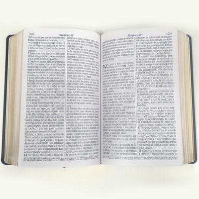 image_3d4b01cb-5e28-4266-b4bd-3d0f383407af