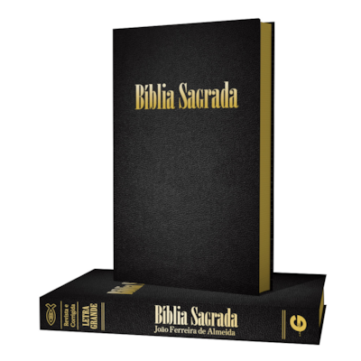 image_4d6719ee-33ea-48d5-9068-0f77eb52e0ee