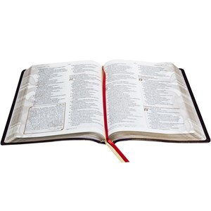 Bíblia Sagrada Com Reflexões de Lutero | Letra Normal | ARA | Capa Vinho Nobre