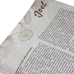 Bíblia Sagrada Com Reflexões de Lutero | Letra Normal | ARA | Capa Vinho Nobre