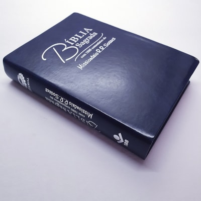 image_6c267793-91cc-4c75-b611-ff8349320e22