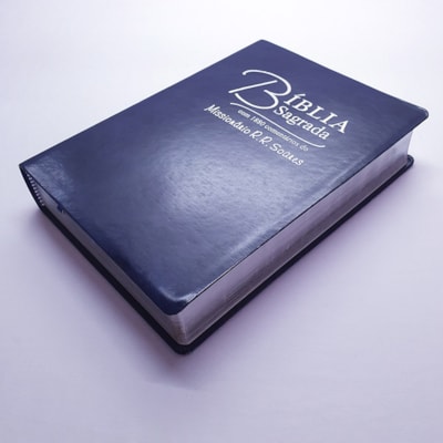 image_7eceb876-41e5-449b-b744-3df0799d0f3a