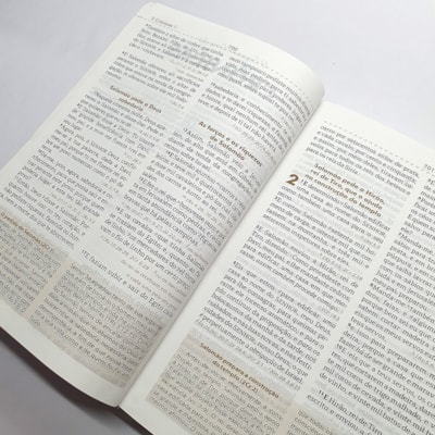 image_f88bd200-0249-49e4-b80c-eaddbd32695c