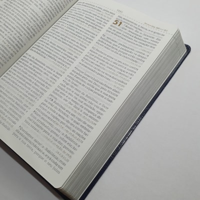 image_9afa1eb5-f2f5-44bb-b282-ab2f5b5df4ec