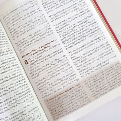 image_433d222d-37ab-415d-a2b3-1a2744835725