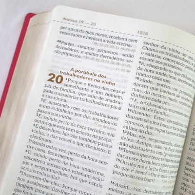 image_833e6465-67e6-4b49-b98d-24c29e19dda4