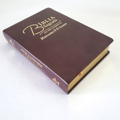 image_036abb4d-b33f-4fed-b34d-c84841a46212