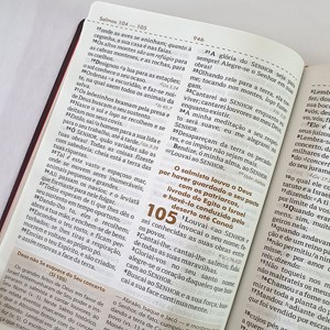 Bíblia Sagrada Comentada Missionário R R Soares | ARC |Letra Grande | Capa Luxo Vinho