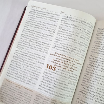 image_b7922ef4-7f57-4c4f-9317-21dfdbc3d1e7