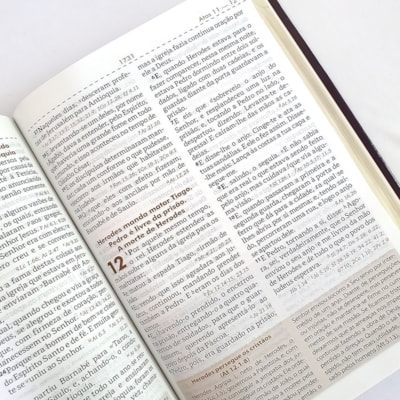 image_2edfd862-a226-4fd8-b805-68a459b7db5a