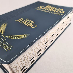 Bíblia Sagrada Compacta | ARC | Letra Jumbo | Luxo Azul c/ Índice