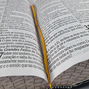 Bíblia Sagrada Compacta | ARC | Letra Jumbo | Luxo Azul c/ Índice