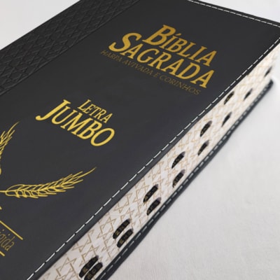 image_d22d14a4-d493-4d00-98ef-5c921657e03a