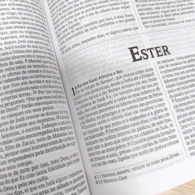 image_5ee4e07d-cb92-43af-9a99-89190f5b2b5c