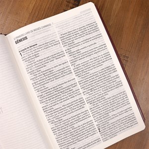 Bíblia Sagrada Coração Puro | NAA | Letra Normal | Capa Dura