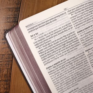 Bíblia Sagrada Coração Puro | NAA | Letra Normal | Capa Dura