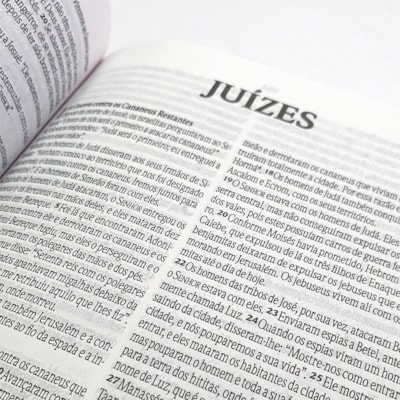 image_adaee86b-da9f-49c4-b9bc-8fa75d5f6d1b