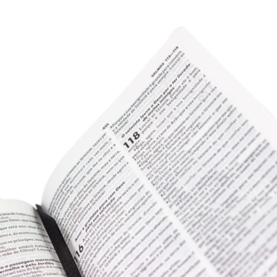 image_6ef888c3-2df8-4cde-9ebc-48a17d17c383