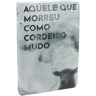 Imagem Principal - 0837f8d4-a839-4108-99dd-ed97d1e4abe7
