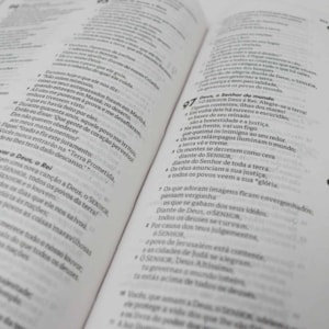 Segunda imagem do produto Bíblia Sagrada Cordeiro e Leão | NTLH | Letra Normal | Capa Dura Ilustrada