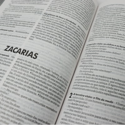 image_7b0ae0ec-eb8c-4daa-a1a8-31fe583fd9c8