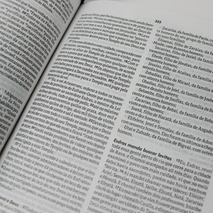 Bíblia Sagrada Cordeiro e Leão | NTLH | Letra Normal | Capa Dura Ilustrada