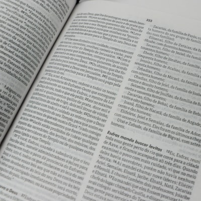 image_7a8c0c5a-0120-44e6-bf81-1bc0c0eba75b