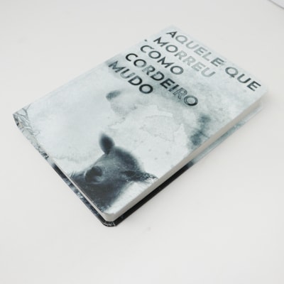 image_f4173bc9-64b6-4096-8165-0b369fe0a699