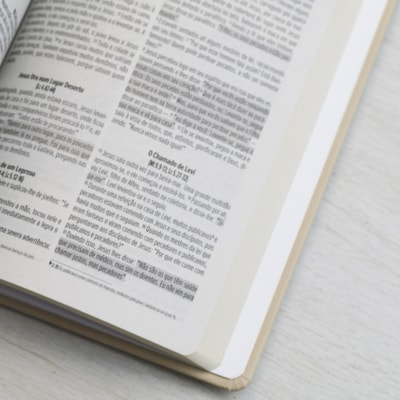 image_8cbd5c17-5366-49e2-9c9b-d99f0b3bce78