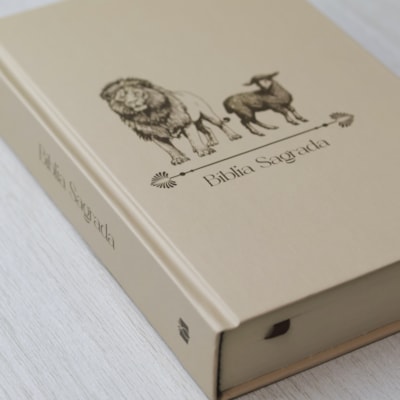 image_d070e984-1a2b-4dce-a911-9fafc3d94124