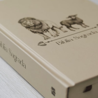 image_71f39ef1-e1c0-4600-ade6-df2512c338f7