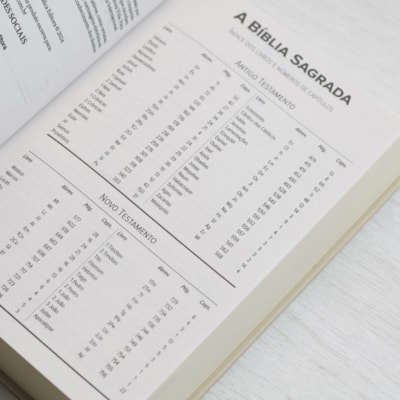 image_6f54ee91-8420-4e1b-b5b6-c75cb6eb625b