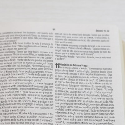 image_760f751e-4608-4b0d-adc7-8d8fb52a3572