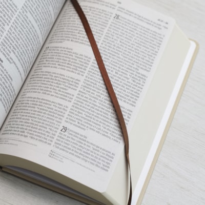 image_2a9b8085-a59c-4d71-ab80-858675b1691d