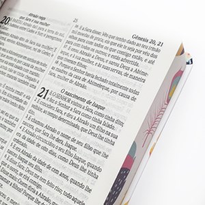 Bíblia Sagrada Cores Especiais Pena | ARC | Letra Normal | Capa Dura Ilustrada