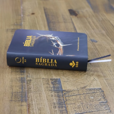 image_24216038-4d6e-4dee-9455-411f57361ae7