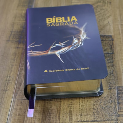 image_75cc9287-5b51-4bde-8afc-85493decadc1